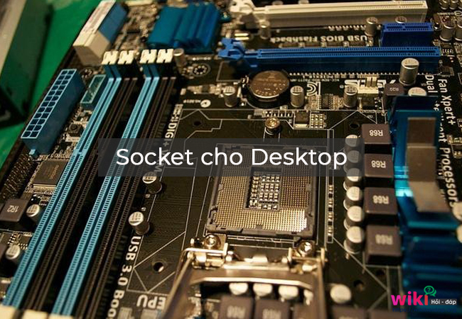 Socket dành cho Desktop