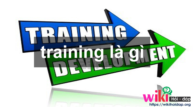 training là gì